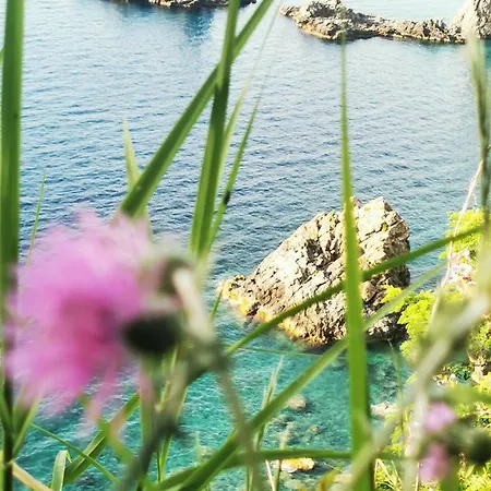 La Terrazza Di Rovaglioso *