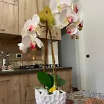 La Terrazza Di Rovaglioso Apartment Palmi
