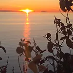 公寓 La Terrazza Di Rovaglioso 帕尔米