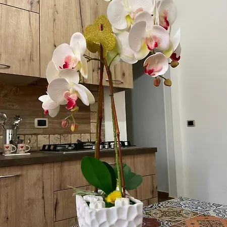 La Terrazza Di Rovaglioso Апартаменты Пальми