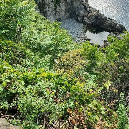 Apartman La Terrazza Di Rovaglioso Palmi