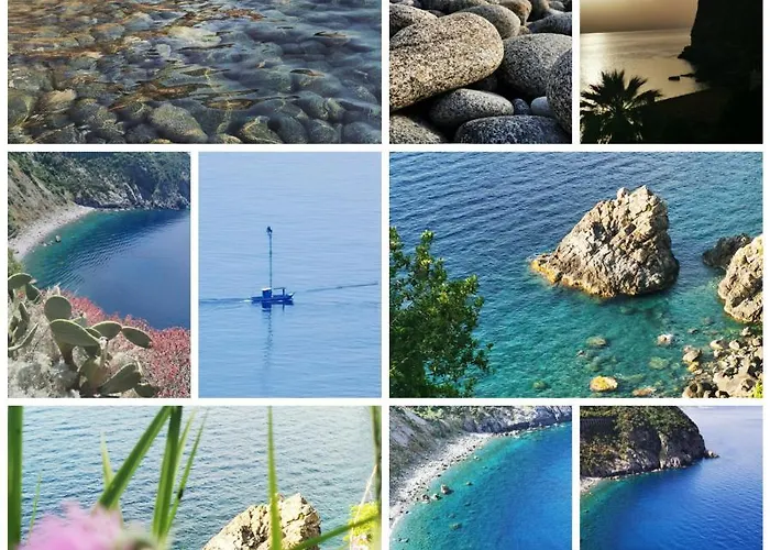 La Terrazza Di Rovaglioso 公寓 帕尔米