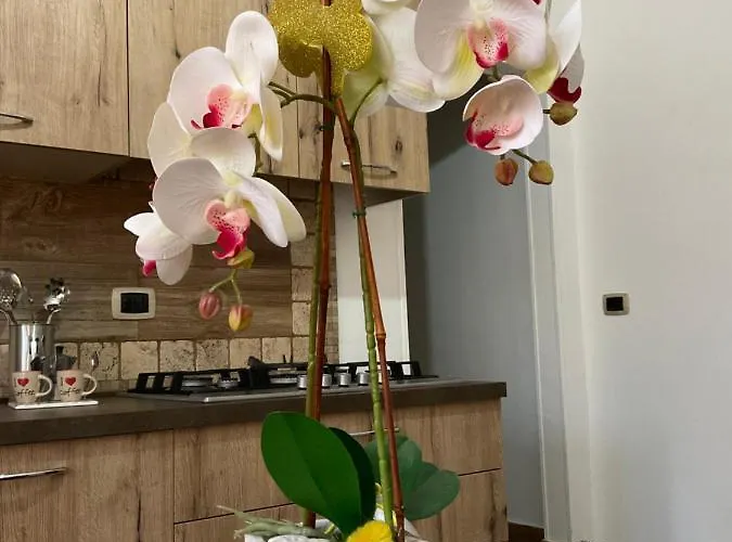 La Terrazza Di Rovaglioso 公寓 帕尔米