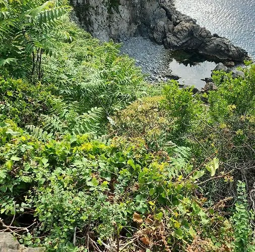 Apartament La Terrazza Di Rovaglioso Palmi